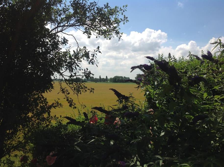 Dijkhuisje Zeeland Waterlandkerkje エクステリア 写真