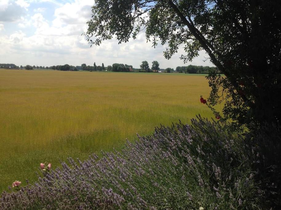 Dijkhuisje Zeeland Waterlandkerkje エクステリア 写真