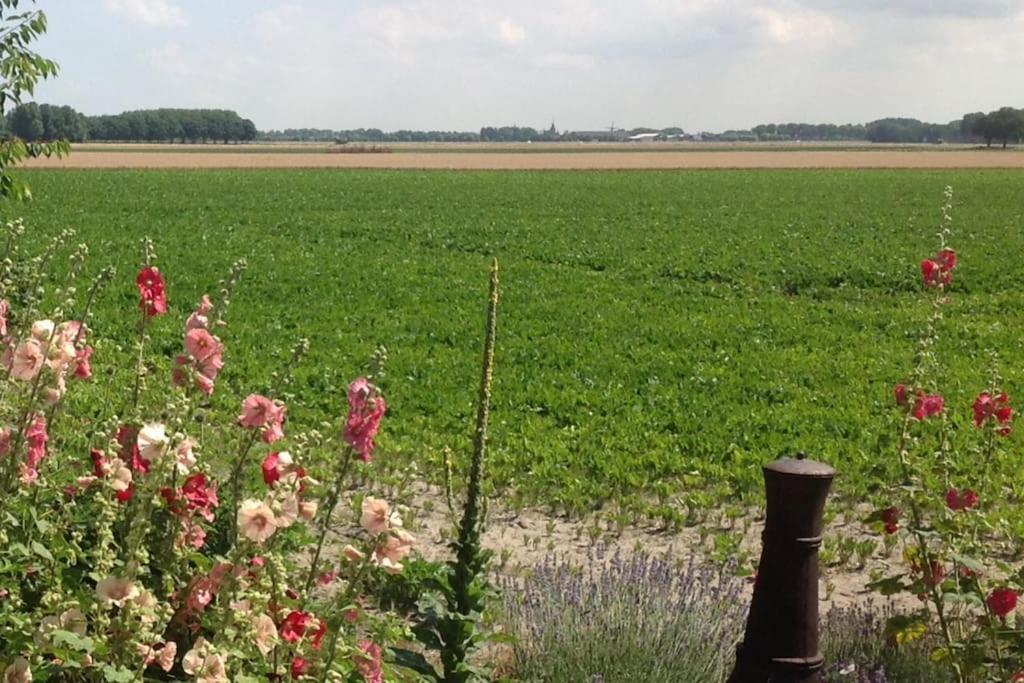 Dijkhuisje Zeeland Waterlandkerkje エクステリア 写真