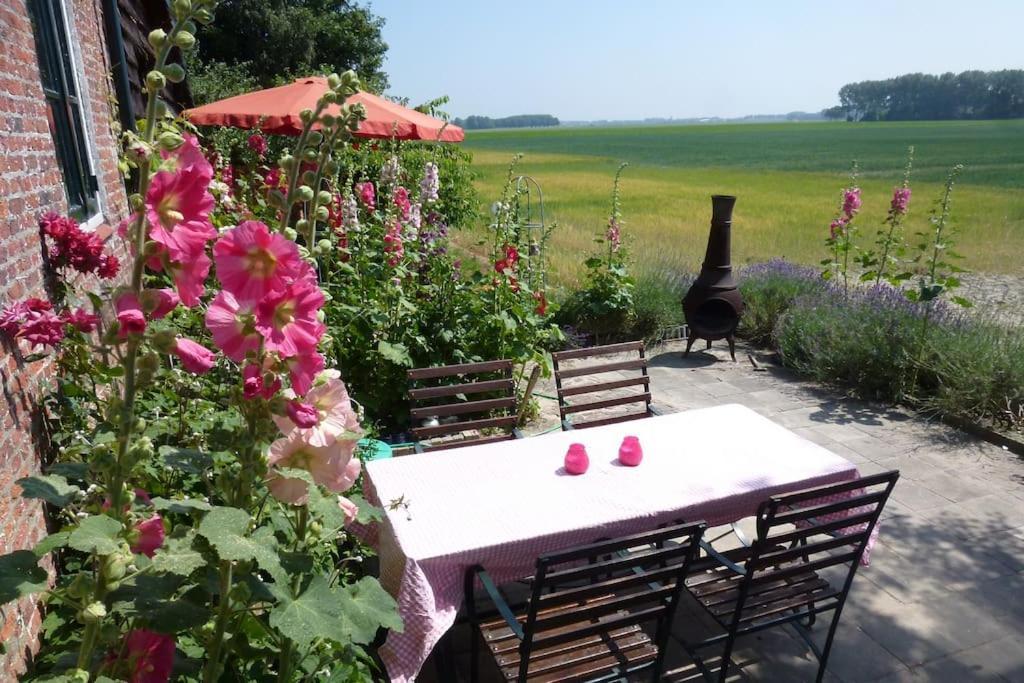 Dijkhuisje Zeeland Waterlandkerkje エクステリア 写真