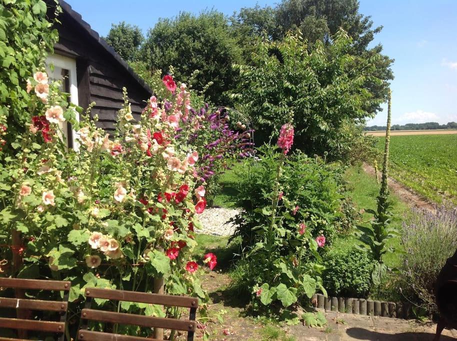 Dijkhuisje Zeeland Waterlandkerkje エクステリア 写真